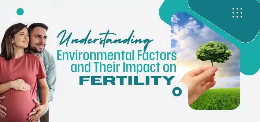 The Impact of Environmental Factors on Fertility and How to Navigate ...