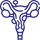 Uterine Fibroids