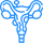 Uterine Fibroids